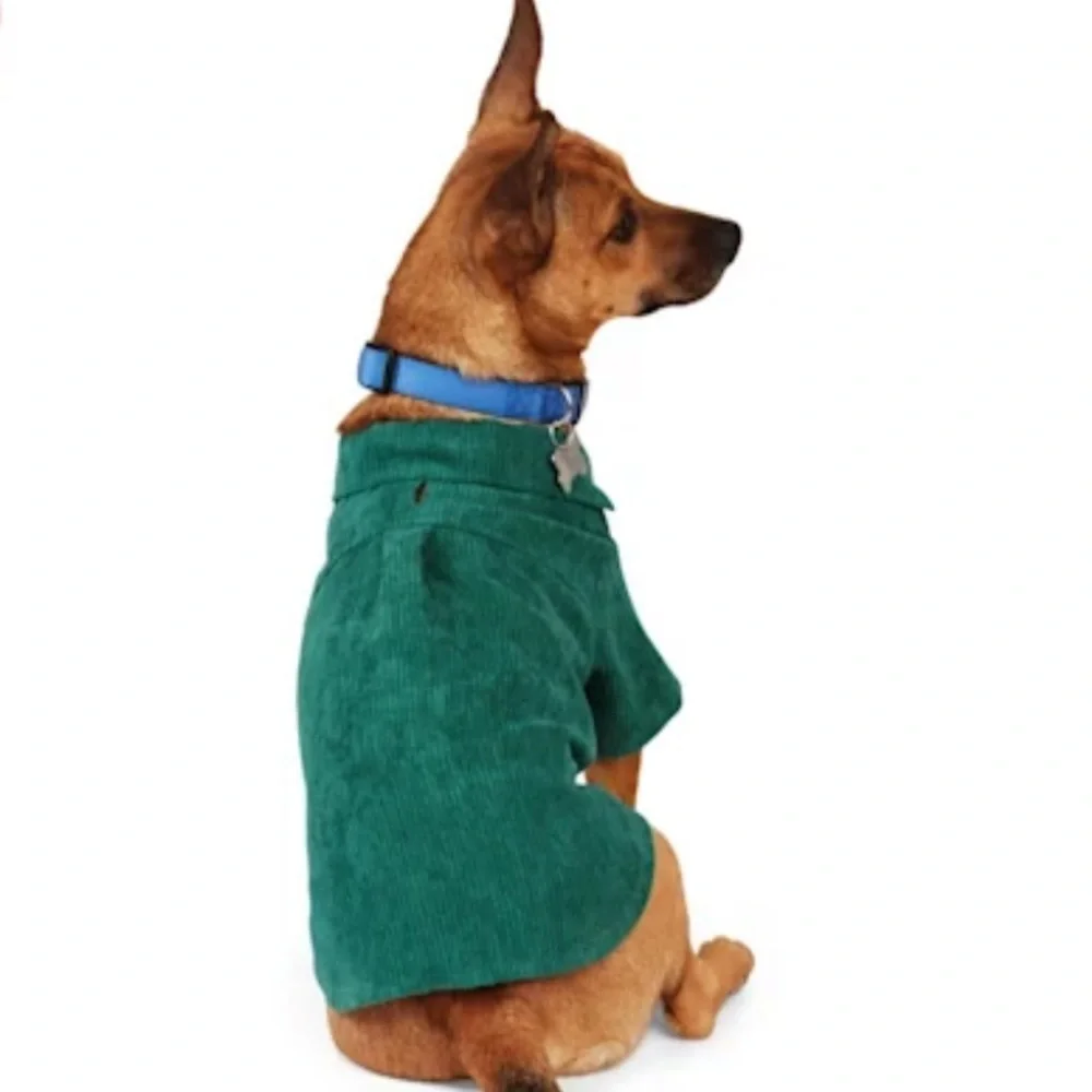 NWT Youly “hipster” corduroy button dog shirt M